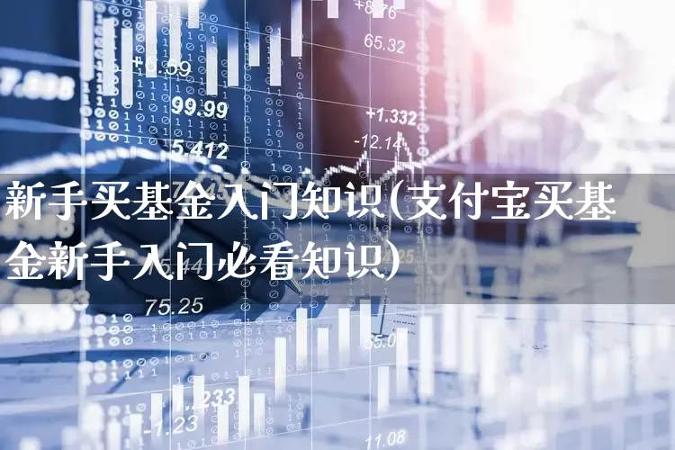 新手买基金入门知识(支付宝买基金新手入门必看知识)_https://www.fzdzcxj.com_上交所_第1张