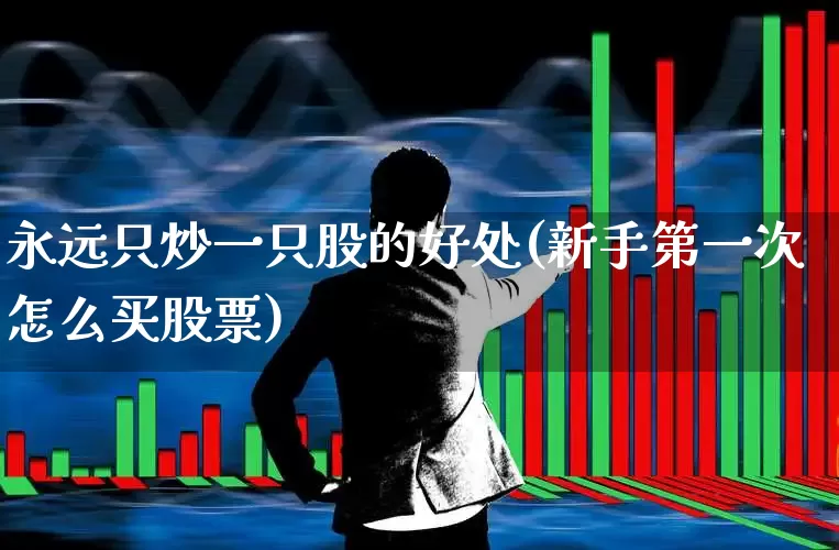 永远只炒一只股的好处(新手第一次怎么买股票)_https://www.fzdzcxj.com_深交所_第1张
