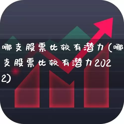 哪支股票比较有潜力(哪支股票比较有潜力2022)_https://www.fzdzcxj.com_科创板_第1张