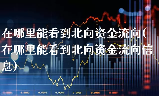 在哪里能看到北向资金流向(在哪里能看到北向资金流向信息)_https://www.fzdzcxj.com_北交所_第1张