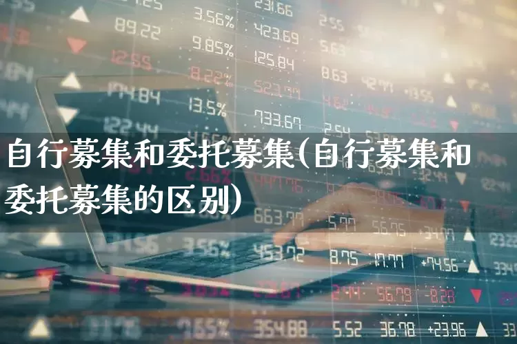 自行募集和委托募集(自行募集和委托募集的区别)_https://www.fzdzcxj.com_上交所_第1张