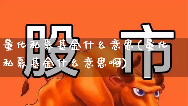 量化私募基金什么意思(量化私募基金什么意思啊)_https://www.fzdzcxj.com_深交所_第1张