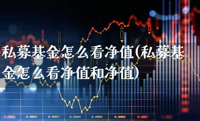 私募基金怎么看净值(私募基金怎么看净值和净值)_https://www.fzdzcxj.com_深交所_第1张