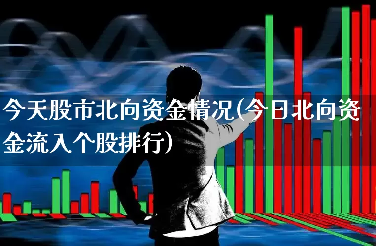 今天股市北向资金情况(今日北向资金流入个股排行)_https://www.fzdzcxj.com_深交所_第1张