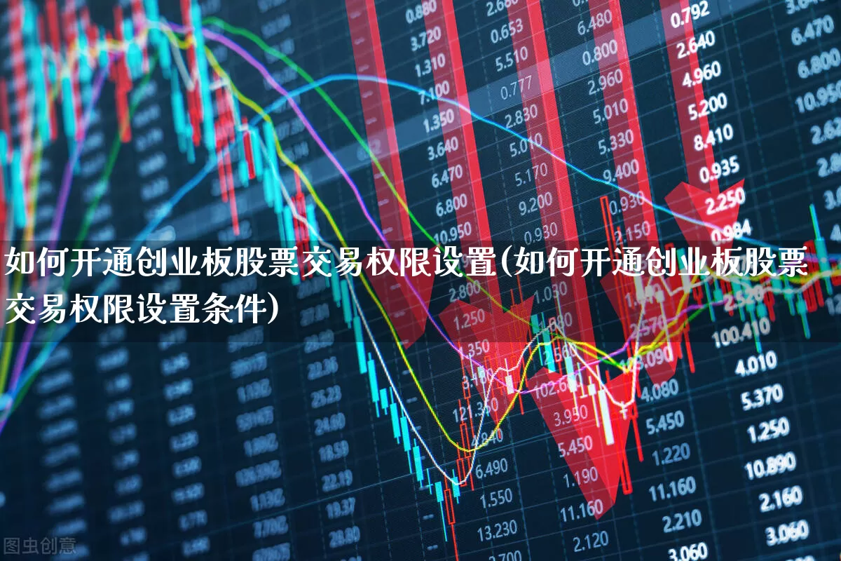 如何开通创业板股票交易权限设置(如何开通创业板股票交易权限设置条件)_https://www.fzdzcxj.com_深交所_第1张