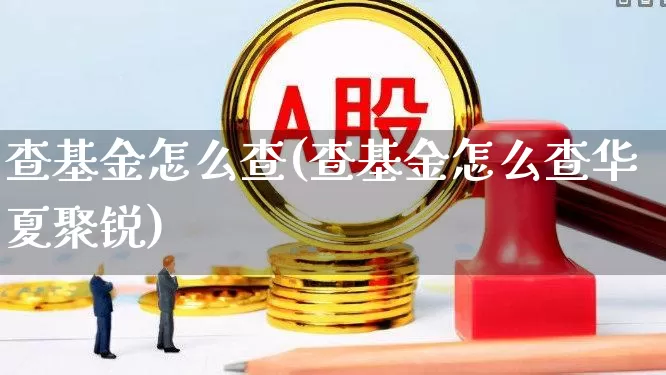 查基金怎么查(查基金怎么查华夏聚锐)_https://www.fzdzcxj.com_上交所_第1张