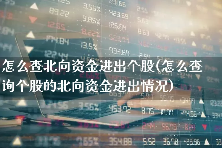 怎么查北向资金进出个股(怎么查询个股的北向资金进出情况)_https://www.fzdzcxj.com_深交所_第1张