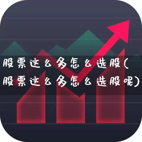 股票这么多怎么选股(股票这么多怎么选股呢)_https://www.fzdzcxj.com_深交所_第1张