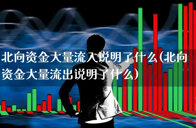 北向资金大量流入说明了什么(北向资金大量流出说明了什么)_https://www.fzdzcxj.com_深交所_第1张
