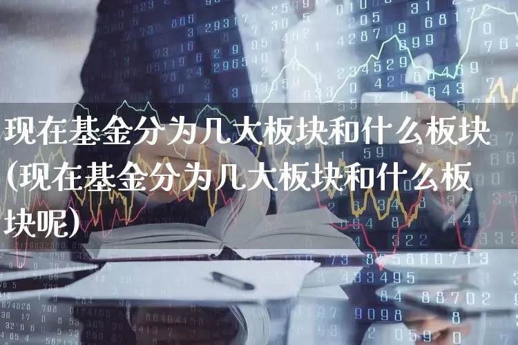 现在基金分为几大板块和什么板块(现在基金分为几大板块和什么板块呢)_https://www.fzdzcxj.com_上交所_第1张