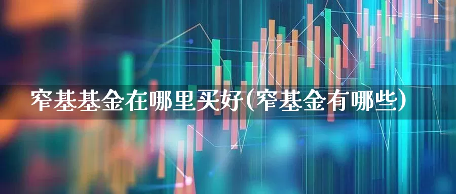 窄基基金在哪里买好(窄基金有哪些)_https://www.fzdzcxj.com_深交所_第1张