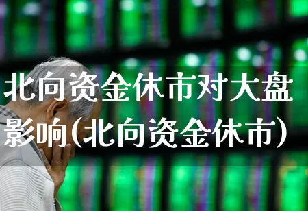 北向资金休市对大盘影响(北向资金休市)_https://www.fzdzcxj.com_上交所_第1张