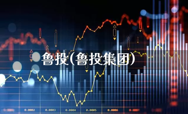 鲁投(鲁投集团)_https://www.fzdzcxj.com_上交所_第1张