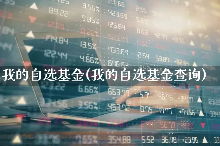 我的自选基金(我的自选基金查询)_https://www.fzdzcxj.com_深交所_第1张