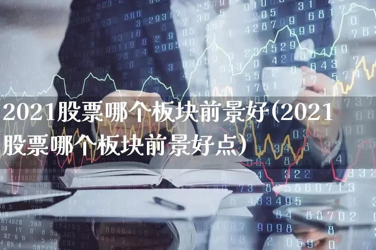 2021股票哪个板块前景好(2021股票哪个板块前景好点)_https://www.fzdzcxj.com_科创板_第1张