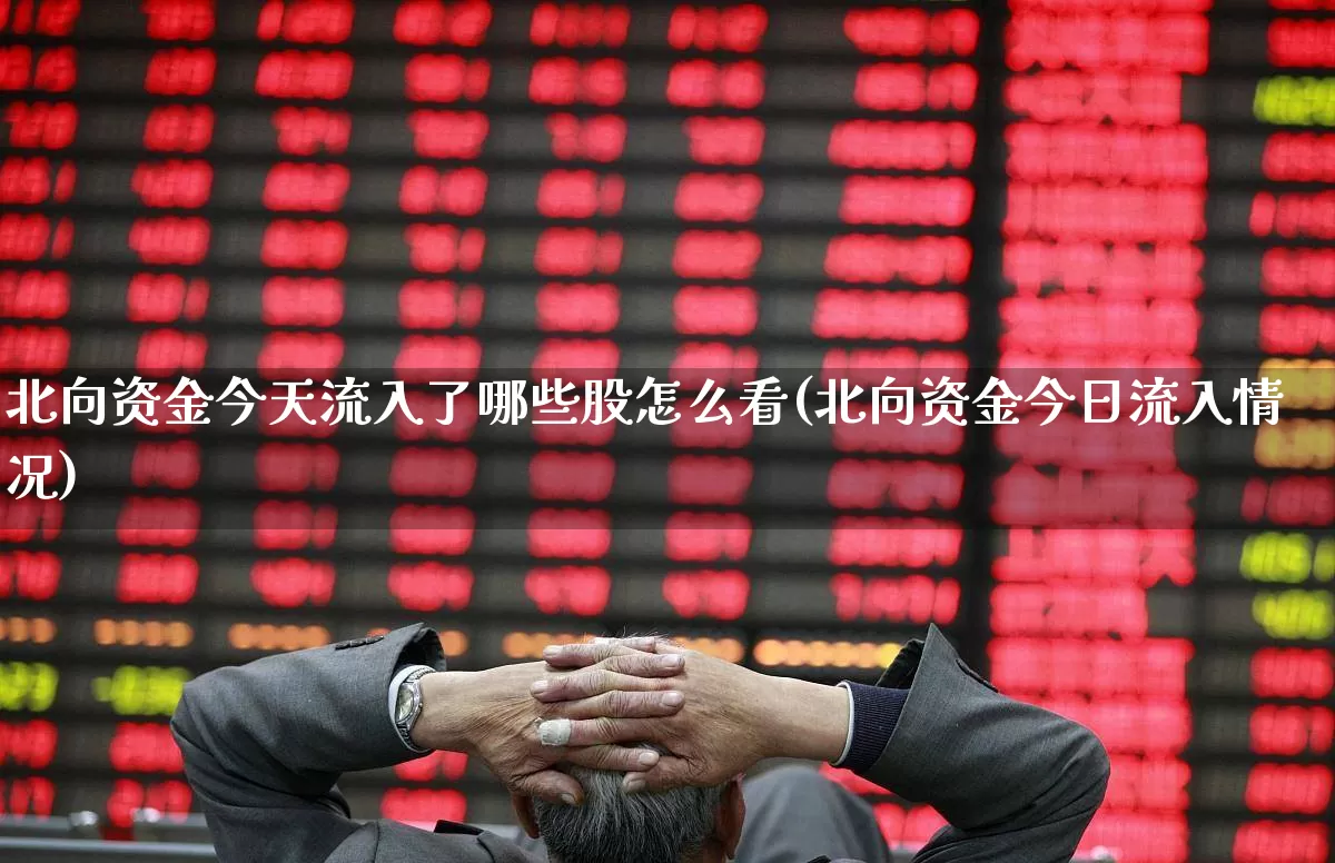 北向资金今天流入了哪些股怎么看(北向资金今日流入情况)_https://www.fzdzcxj.com_创业板_第1张