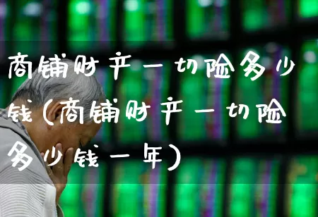 商铺财产一切险多少钱(商铺财产一切险多少钱一年)_https://www.fzdzcxj.com_科创板_第1张