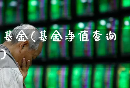 基金(基金净值查询)_https://www.fzdzcxj.com_科创板_第1张