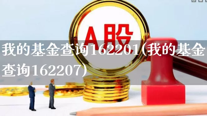我的基金查询162201(我的基金查询162207)_https://www.fzdzcxj.com_北交所_第1张