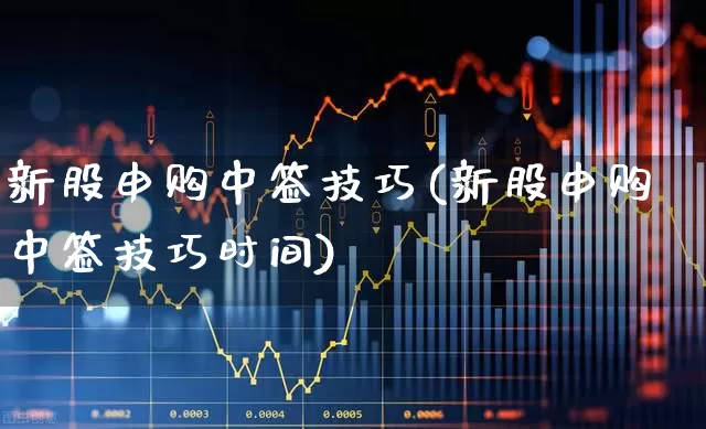 新股申购中签技巧(新股申购中签技巧时间)_https://www.fzdzcxj.com_上交所_第1张