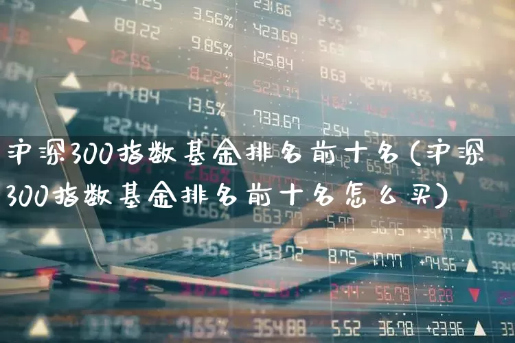 沪深300指数基金排名前十名(沪深300指数基金排名前十名怎么买)_https://www.fzdzcxj.com_深交所_第1张