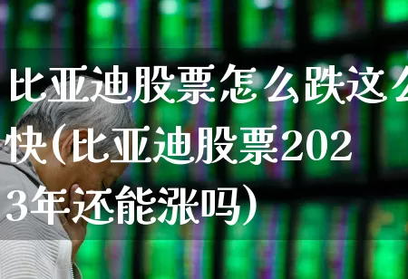 比亚迪股票怎么跌这么快(比亚迪股票2023年还能涨吗)_https://www.fzdzcxj.com_科创板_第1张