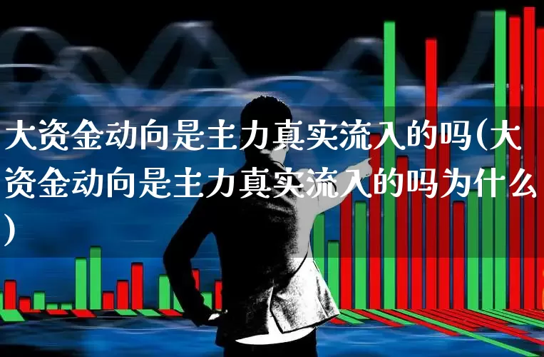 大资金动向是主力真实流入的吗(大资金动向是主力真实流入的吗为什么)_https://www.fzdzcxj.com_上交所_第1张