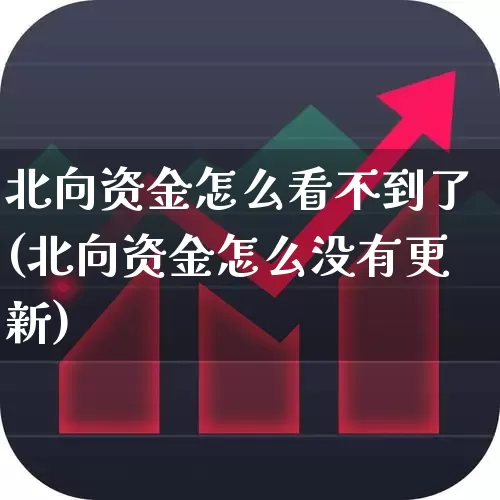 北向资金怎么看不到了(北向资金怎么没有更新)_https://www.fzdzcxj.com_科创板_第1张