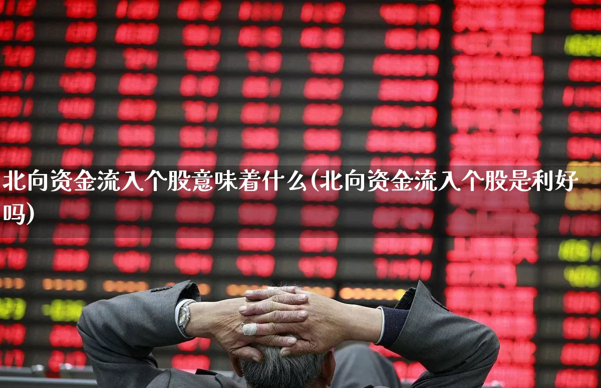 北向资金流入个股意味着什么(北向资金流入个股是利好吗)_https://www.fzdzcxj.com_深交所_第1张