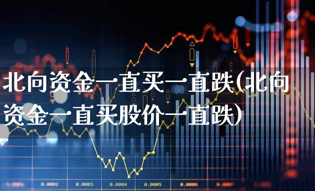 北向资金一直买一直跌(北向资金一直买股价一直跌)_https://www.fzdzcxj.com_深交所_第1张