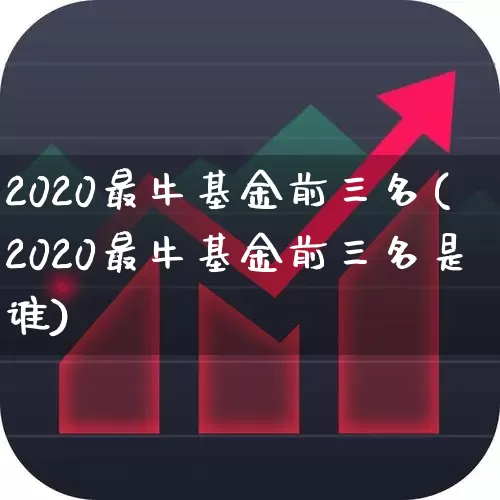 2020最牛基金前三名(2020最牛基金前三名是谁)_https://www.fzdzcxj.com_创业板_第1张