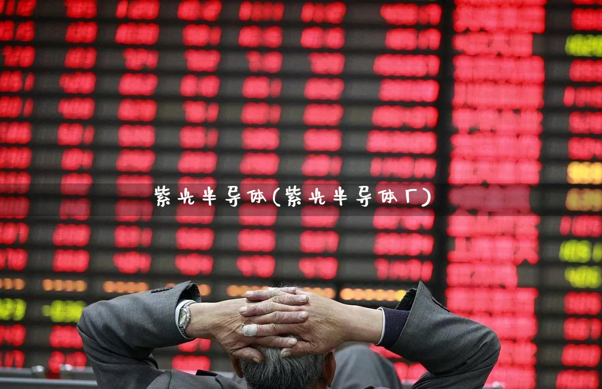 紫光半导体(紫光半导体厂)_https://www.fzdzcxj.com_科创板_第1张