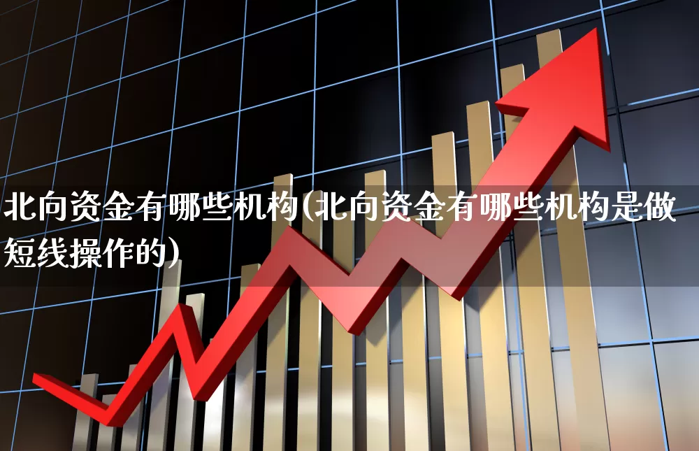 北向资金有哪些机构(北向资金有哪些机构是做短线操作的)_https://www.fzdzcxj.com_深交所_第1张