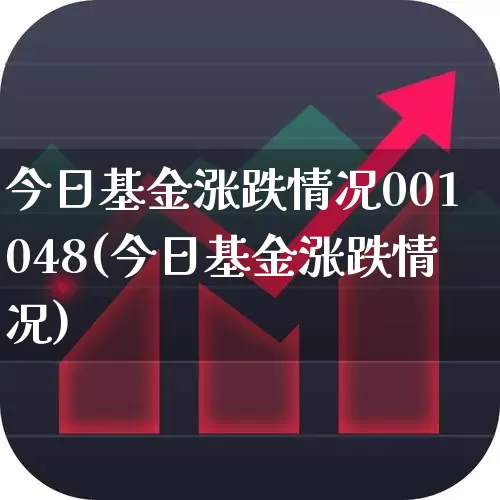 今日基金涨跌情况001048(今日基金涨跌情况)_https://www.fzdzcxj.com_上交所_第1张