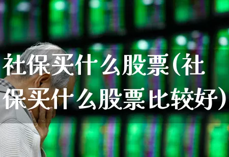 社保买什么股票(社保买什么股票比较好)_https://www.fzdzcxj.com_上交所_第1张