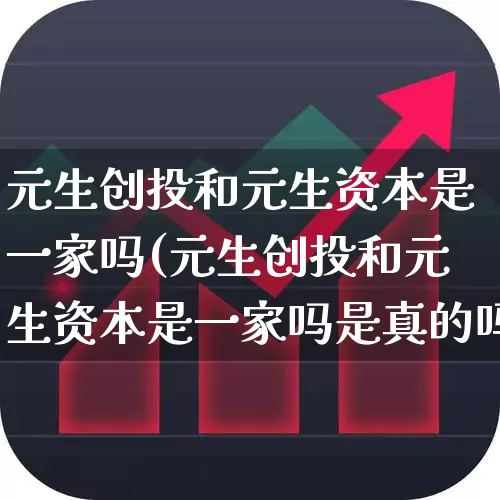 元生创投和元生资本是一家吗(元生创投和元生资本是一家吗是真的吗)_https://www.fzdzcxj.com_深交所_第1张