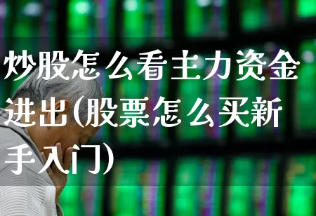 炒股怎么看主力资金进出(股票怎么买新手入门)_https://www.fzdzcxj.com_科创板_第1张