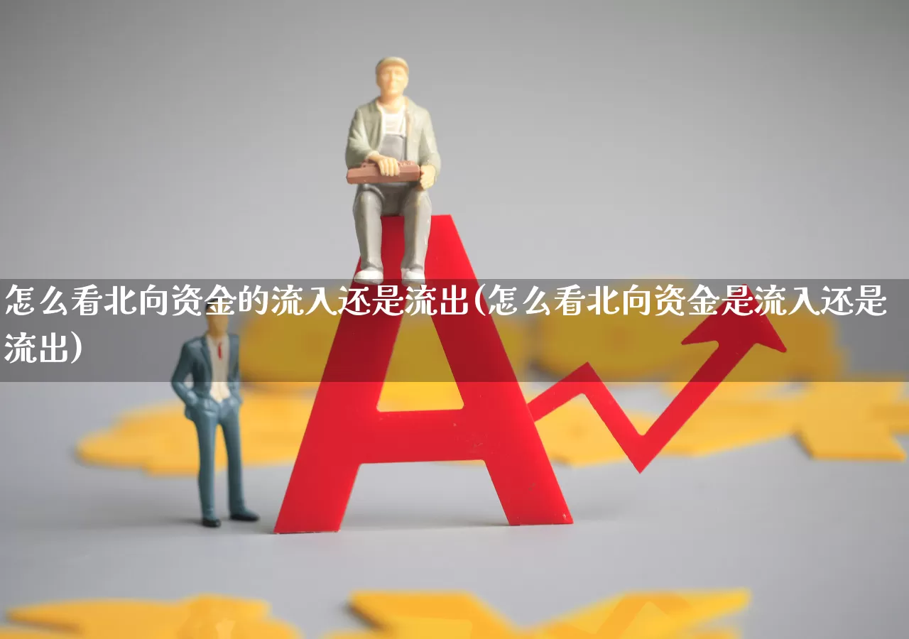怎么看北向资金的流入还是流出(怎么看北向资金是流入还是流出)_https://www.fzdzcxj.com_深交所_第1张