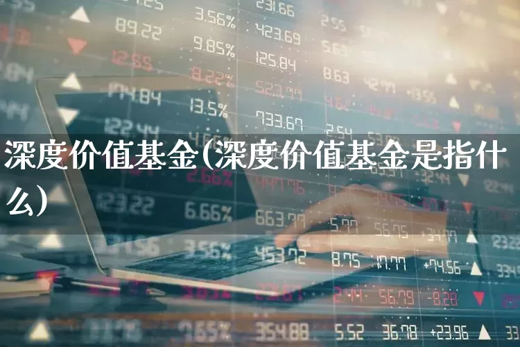 深度价值基金(深度价值基金是指什么)_https://www.fzdzcxj.com_创业板_第1张