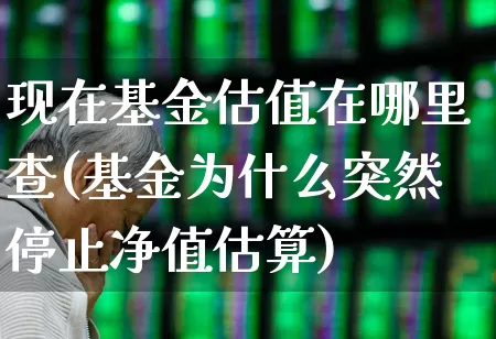 现在基金估值在哪里查(基金为什么突然停止净值估算)_https://www.fzdzcxj.com_创业板_第1张