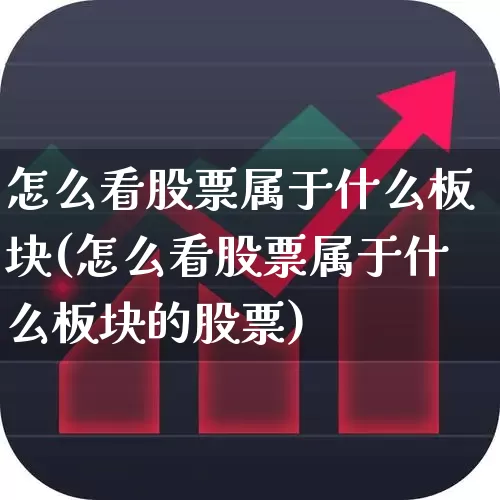 怎么看股票属于什么板块(怎么看股票属于什么板块的股票)_https://www.fzdzcxj.com_北交所_第1张