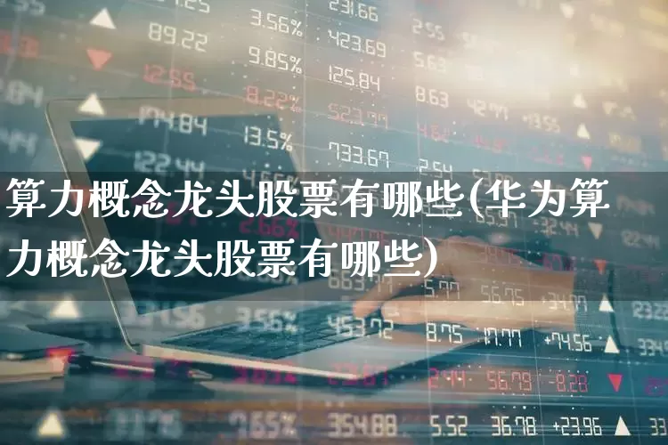 算力概念龙头股票有哪些(华为算力概念龙头股票有哪些)_https://www.fzdzcxj.com_科创板_第1张