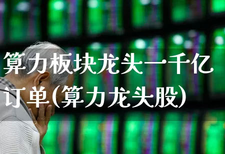 算力板块龙头一千亿订单(算力龙头股)_https://www.fzdzcxj.com_创业板_第1张