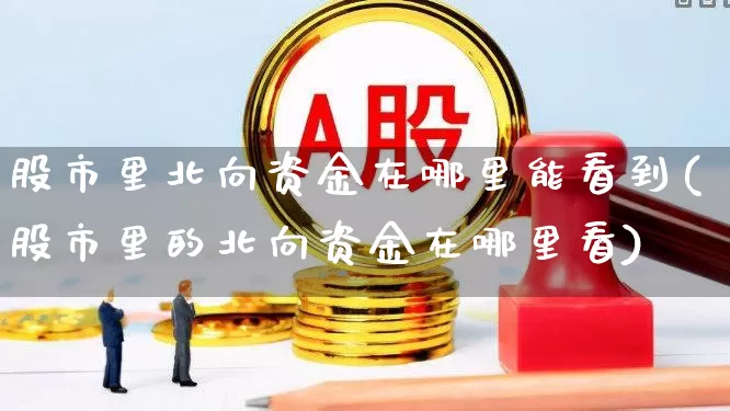 股市里北向资金在哪里能看到(股市里的北向资金在哪里看)_https://www.fzdzcxj.com_创业板_第1张
