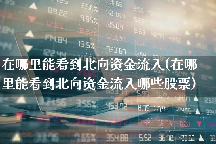 在哪里能看到北向资金流入(在哪里能看到北向资金流入哪些股票)_https://www.fzdzcxj.com_创业板_第1张
