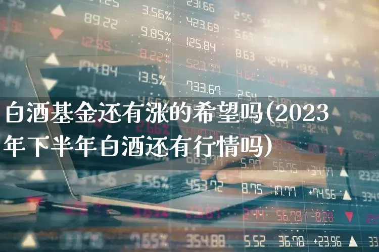 白酒基金还有涨的希望吗(2023年下半年白酒还有行情吗)_https://www.fzdzcxj.com_北交所_第1张