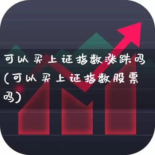 可以买上证指数涨跌吗(可以买上证指数股票吗)_https://www.fzdzcxj.com_深交所_第1张
