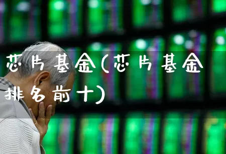 芯片基金(芯片基金排名前十)_https://www.fzdzcxj.com_创业板_第1张