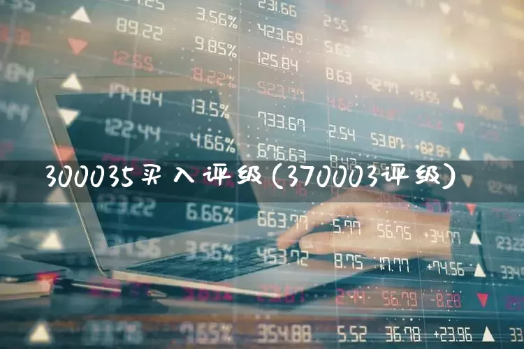 300035买入评级(370003评级)_https://www.fzdzcxj.com_北交所_第1张