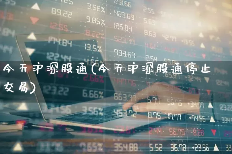 今天沪深股通(今天沪深股通停止交易)_https://www.fzdzcxj.com_创业板_第1张